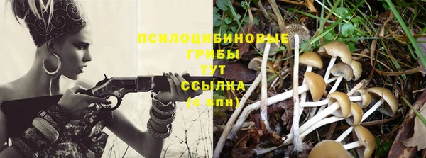 твердый Новозыбков